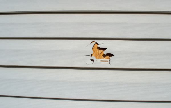 Cost of Siding Hole Repair in Powell