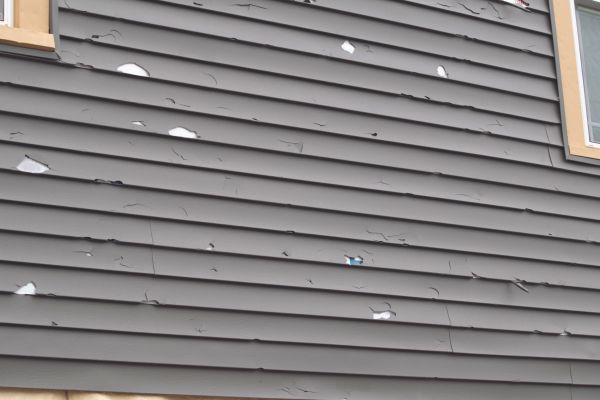 Cost of Damaged Siding Replacement in Powell