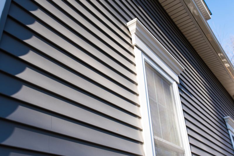 Siding Material Options